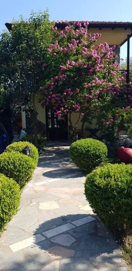 Hotel Maria Chrisi Ammoudia Exteriör bild